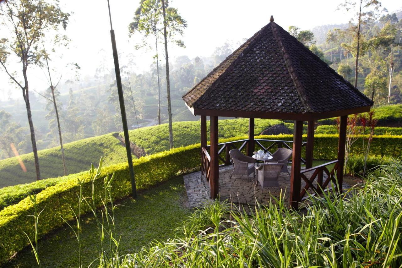 Ceylon Tea Trails - Relais And Chateaux 하톤 외부 사진