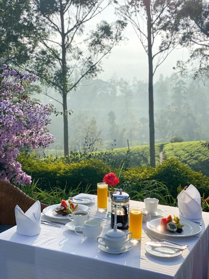 Ceylon Tea Trails - Relais And Chateaux 하톤 외부 사진