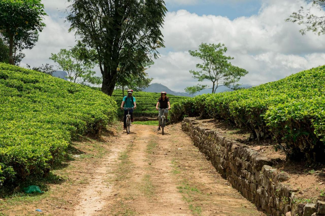 Ceylon Tea Trails - Relais And Chateaux 하톤 외부 사진